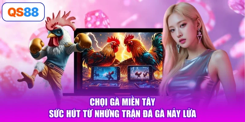 Chọi Gà Miền Tây - Sức Hút Từ Những Trận Đá Gà Nảy Lửa